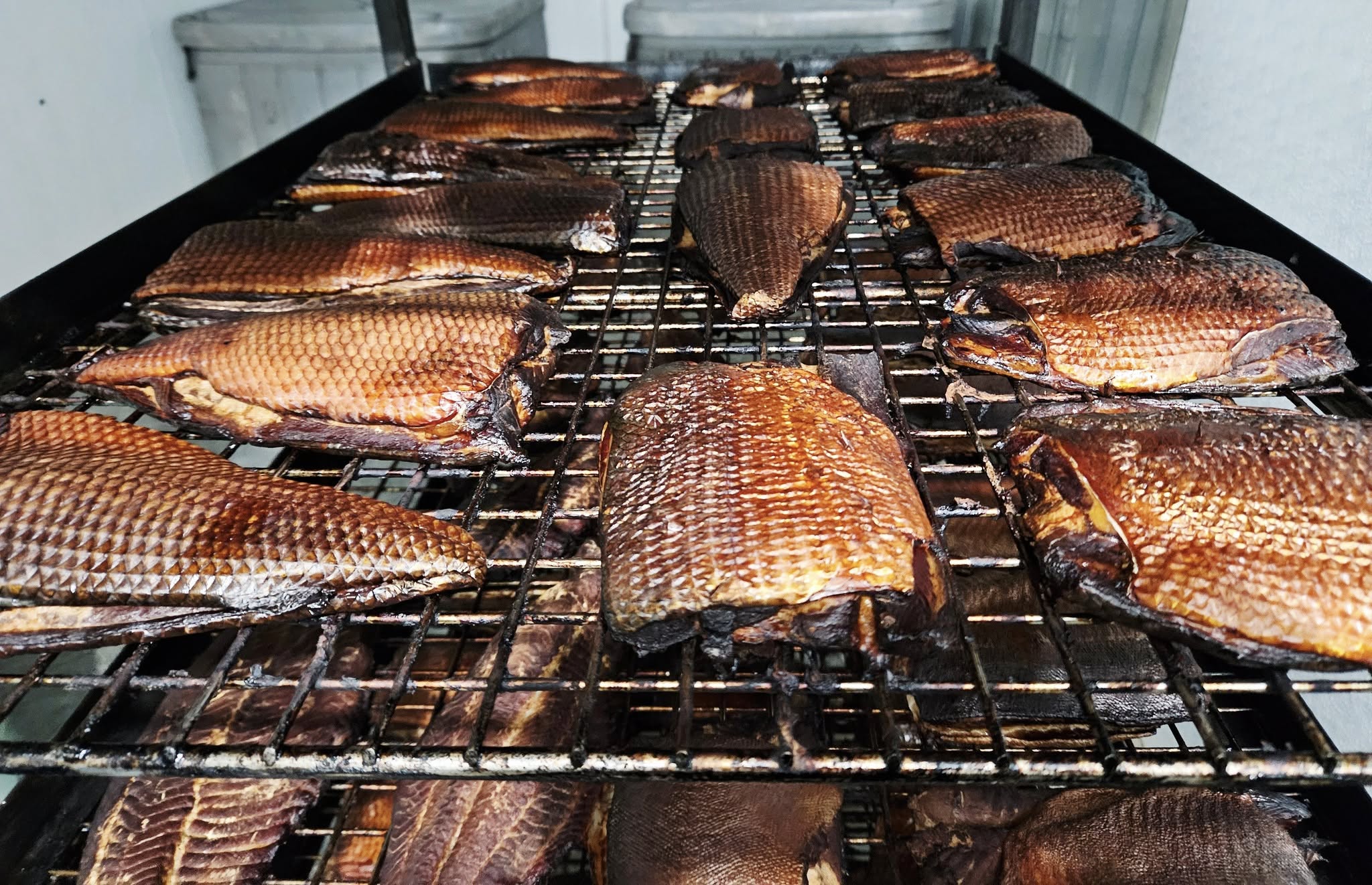 Whitefish, Catfish, and Trout fillets hot out of the smoker.