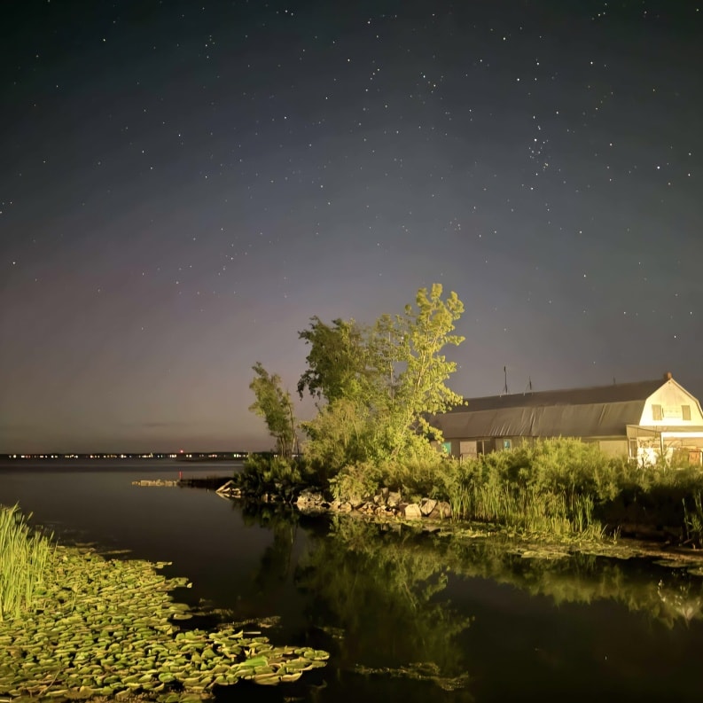 Nighttime photo from Bay Port Fish Company.